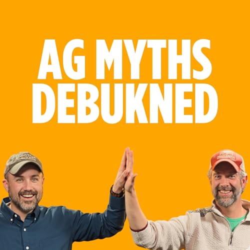 Beyond the Forecast: What Weather Actually Means for the Elevator