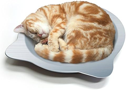 オンライン限定商品 新品 Ct 418 Y Sq マルカン ひんやりク ル猫鍋ジャンボ 未使用 その他 Hlt No