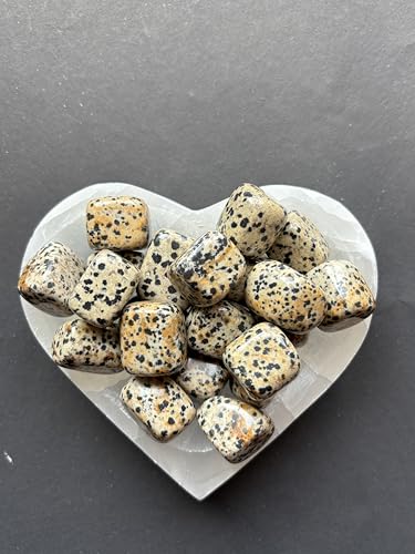 Image of Tumbled Stones, Natural Crystal Healing Stones, Home Office Decor, Aquarium Decorative Pebbles, Vase Fillers (Dalmation Jasper, 100)
