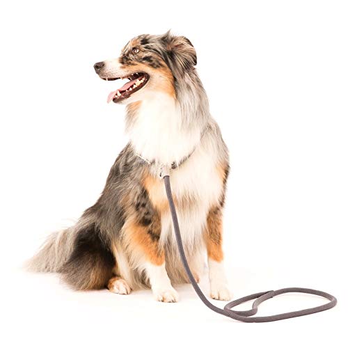 Wolters | Moxonleine K2 in Graphit | L 180 cm x B 0,9 cm