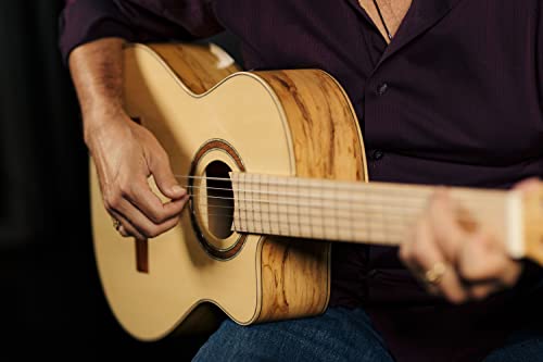 Guitare classique ORTEGA Thomas Zwijsen Signature fabriquée en Espagne avec housse luxe (TZSM/2) - Les Beatles, Paul McCartney, John Lennon, RIngo Starr, George Harrison Guitare classique ORTEGA Thomas Zwijsen Signature fabriquée en Espagne avec housse luxe (TZSM/2) – Image 4
