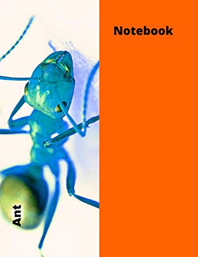 Blue Ant Notebook: Orange soft cover notebook, 110 ruled pages journal for Boys, Girls, Students and Teachers, 8,5 X 11 po