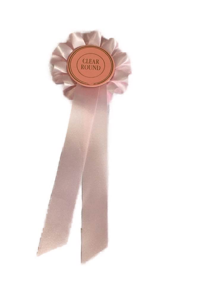 1 tier Rosette ribbon award prize Box pleat prize, fund raising, birthday. 3.5" (8.cm) across, and 9" (22.cm) Custom text optional (Pink)