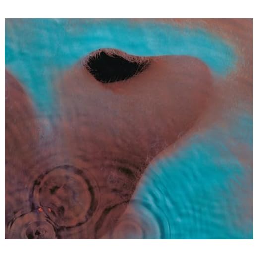 Meddle