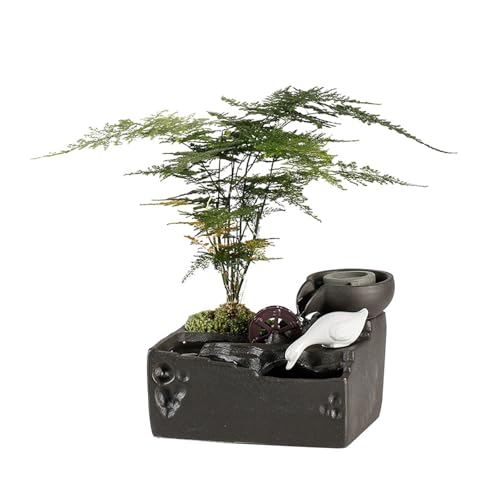 Inomhusfontän Bordsvattenfontän inomhusvattenfall for hemmakontorsdekoration och avkoppling