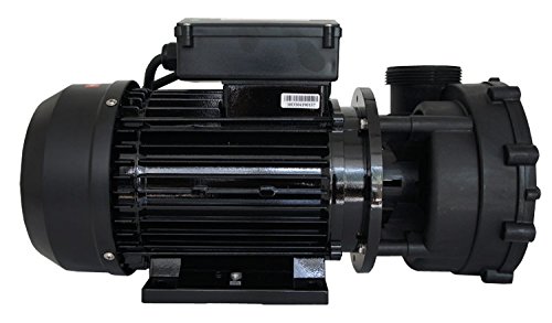 LX WP200-II Massagepumpe Whirlpool, 2-stufig 2 PS Whirlpoolpumpe