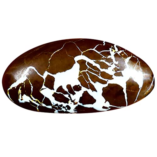 Opale rocheuse Koroit naturelle 6.19 ct, un trésor multicolore d'Australie à offrir avec amour
