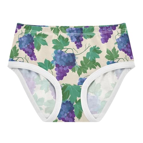 Wusikd Grapes Leaves Girls' Underwear Cotton Girls Briefs Soft Toddler Underwear 2T