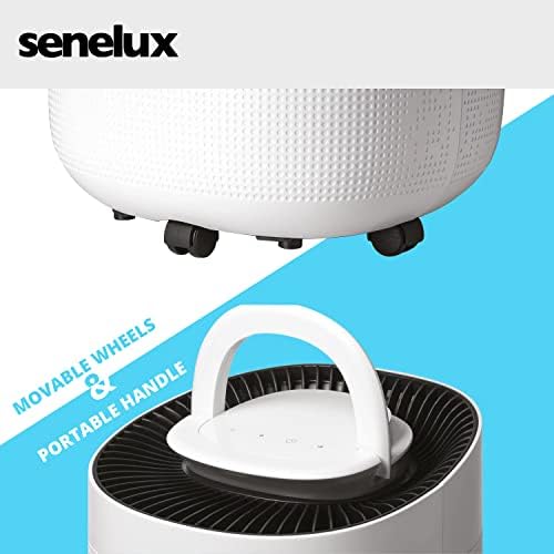 Senelux rear view showing removable water tank and drainage outlet