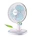 GL-Fan - Ventilatore da scrivania 25 W, regolazione a 2 velocità, con funzione di oscillazione/rotazione e statica ventilatore di raffreddamento da scrivania portatile per la casa o l'ufficio moderno