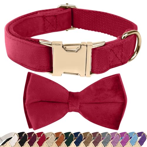 Dog Collars with Bow Velvet Puppy Collar with Zinc Alloy Safety Buckle Adjustable Soft Dog Bow Tie Collar Detachable Breakaway Dog Collar with Metal D-Ring for Small Medium Large Dogs