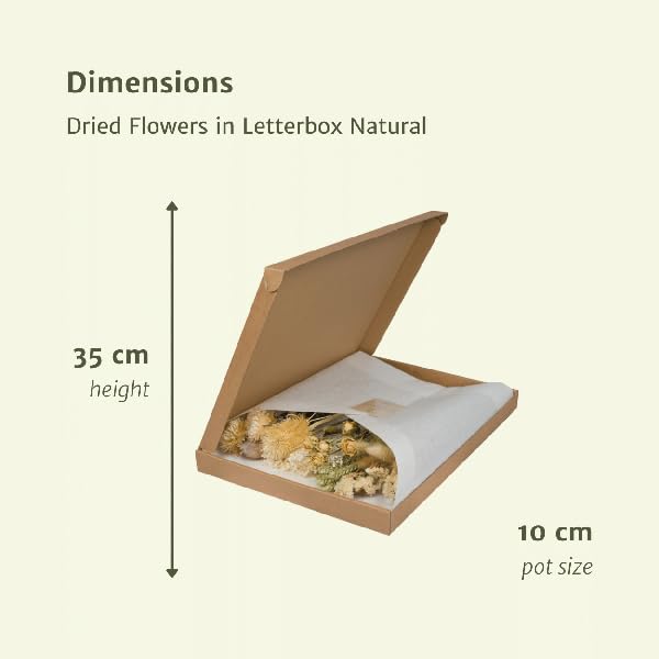 Fleurs séchées dans une boîte aux lettres - Naturel - Bouquet de fleurs séchées - Beige, blanc et rose - Durable et sans entretien - Idée cadeau - 25-30 cm - Décoration pour la maison