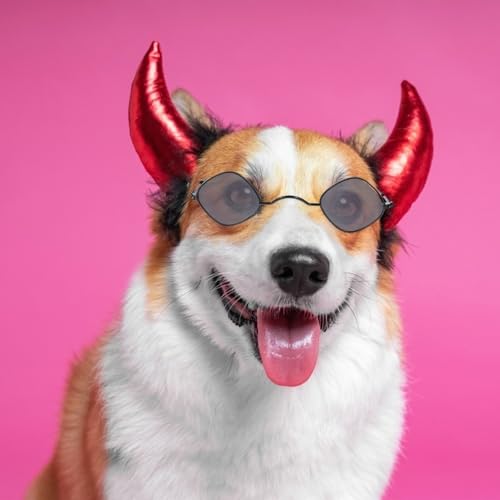 Gafas para Perro de Plástico en Forma de Diamante, 2 piezas miniatura 4