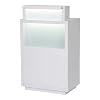 DIR Beauty Salon All Purpose Reception Desk Counter With Illumination Lights ORSACHIOTTO, White