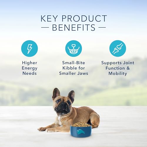 image for Blue Buffalo Life Protection Formula Natural Adult Small Breed Dry Dog