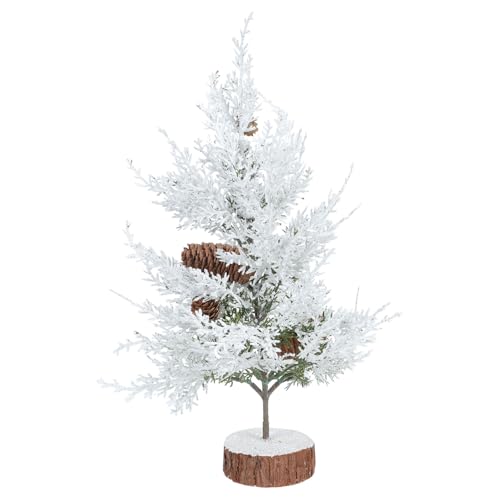 LEDMOMO ~jNX}Xc[ tFXeBofR x[Xt vX`bN ͋[ 㑕 k CeAI[ig