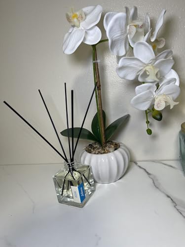 Ambientador Reed Diffuser Ocean 100ml miniatura 2