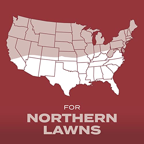 Scotts Turf Builder Grass Seed Sunny Mix with Fertilizer and Soil Improver, Thrives in Direct Sun, 2.4 lbs.