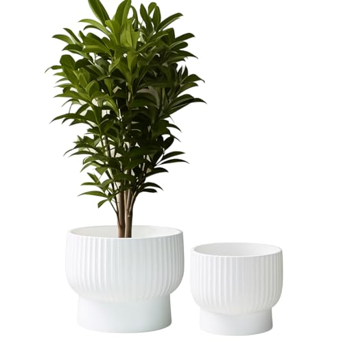 Olly & Rose XL Fibrestone Planter Raised Bowl Set 2 35cm +30cm - Extra Large Plant Pot - Garden Planters in White - Plant Pots Outdoor and Indoor