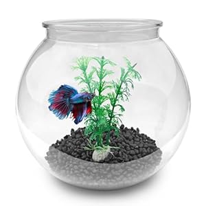 Newpol Mini Plastic Aquarium Fish Bowls (0.8Gallon / 3L)