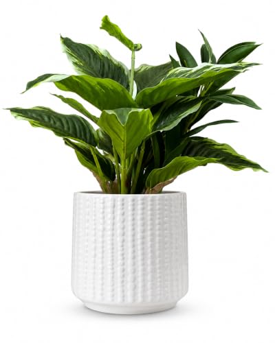 Arktiva Ceramic Planter Pot with Drainage Hole, 5 Inch Dia, Indoor and Outdoor, Home Patio Garden, Plants&Flowers, Textured Round (White)