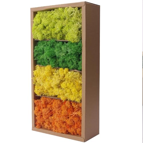 ACADOIT Preserved Moss-1.1lb 4 Color Mix Pack Reindeer Craft Moss, Green Moss Artificial Moss Suitable for Flowerbeds, Crafts, Home Office Artistic Decoration(Green Tones-5)