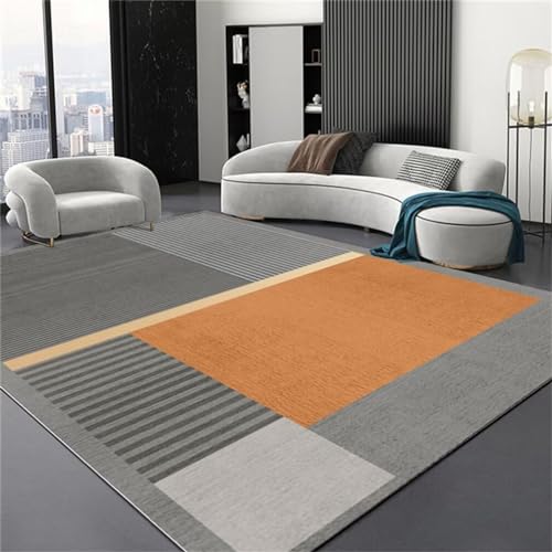 Tapis de salon résistant aux taches et lavable 140x200 cm