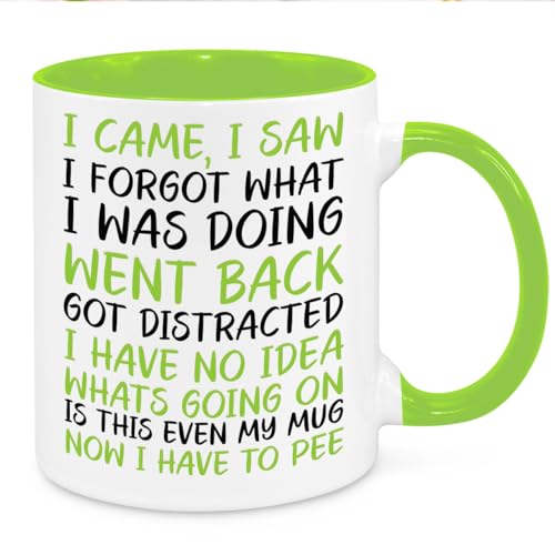 Image of I Came I Saw I Forgot Mug - Funny Novelty Gift Silly Present Mugs for Women Birthday Christmas for Mum Dad Friend Sister for Men Colleague Secret Santa Work Quotes (Green)