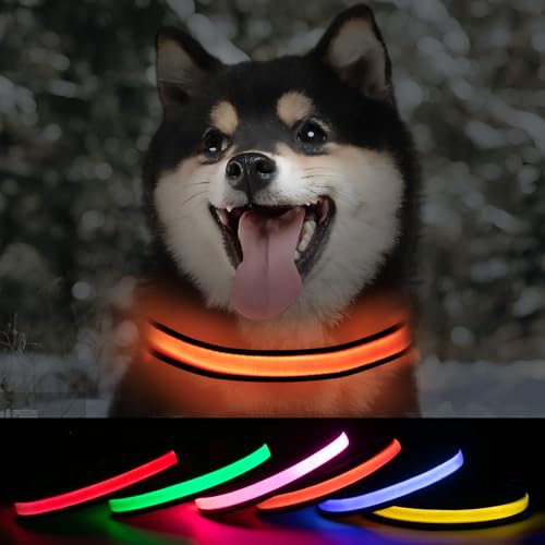 ROUWINNE Lighted Dog Collars Rechargeable, Glow in Dark Dog Collar Waterproof, Flashing Led Dog Collars, Light Up Dog Collar for Night Walking (Orange, Pack of 1, S)