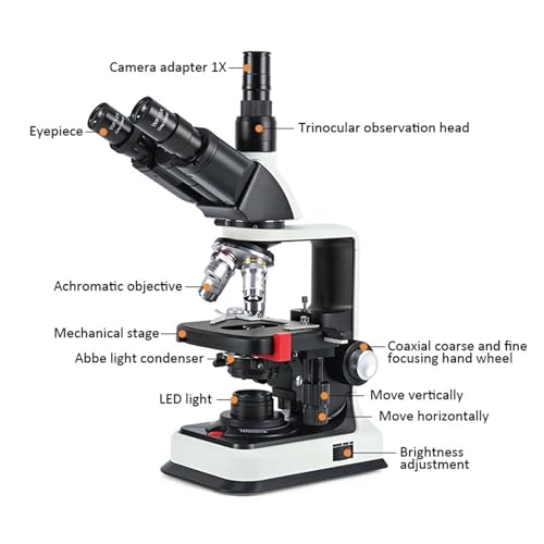 Microscope numérique biologique grossissement 2500X à champ clair pour analyse de précision