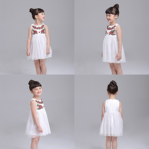 Diamondo Infantil Meninas Vestido de Véu Branco Diamante Floral Saia de Vestido de Princesa (Idade (