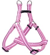 Nobleza - Hundegeschirr mit Leine Anti Zug Geschirr Reflektierend, Verstellbar Brustgeschirr Hund...
