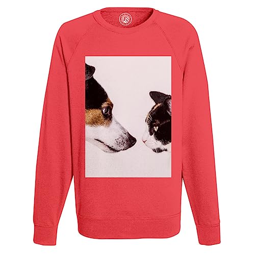 Sweat shirt homme chien et chat mignon pour les balades et moments de détente