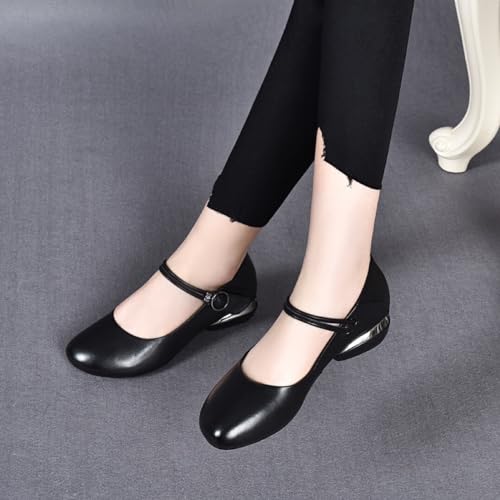 Women's Low Chunky Heel Mary Janes Comfortable Dressy Shoes for Women Closed Toe Pumps Lofers for Women3