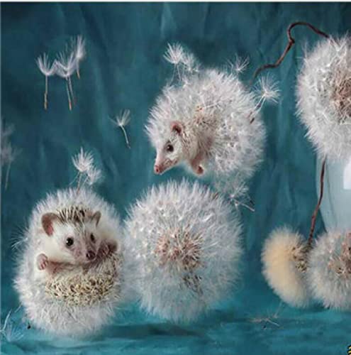 Peinture au diamant 5D hérisson | Kit complet broderie strass 30x40 cm