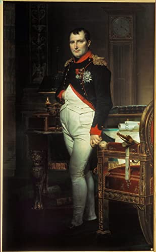 Murales decorativos de Napoleón: cuadro de Jacques Louis David de 60x90cm para salón