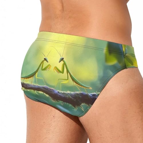 Malaysia Praying Mantis Insect Mens Swim Briefs Quick Dry Swim Trunk Bikini Underwear Swimsuit3