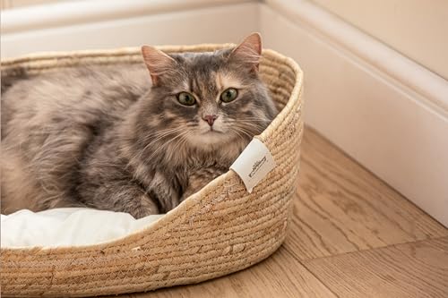 Dehner Premium Lovely Kuschelbett Tiefer Schlaf, Hundebett/Katzenbett, 54 x 43 x 18 cm, Naturmaterial/Plüsch, weiß/beige