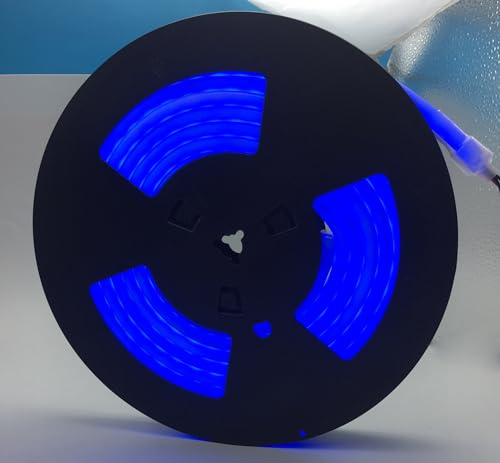 YXHL LED Neon DC12V, impermeável para painel de decoração interior e exterior, 5 metros azul