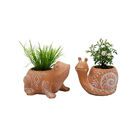 Terracotta Animal Succulent Planter Pots, 2-Pack Frog Snail Pots, Cute Garden Decor, 2.5 Inch Pots Cover