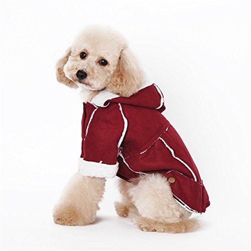 Sweat en polaire pour animal de compagnie - Solution anti-frissons pour chiot, chien, chat