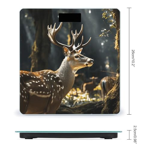 Báscula digital para baño con vidrio templado y pantalla LCD miniatura 2