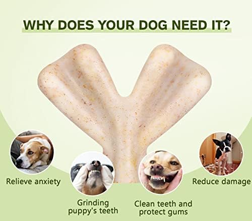 pecute Tough Dog Chew Toy 2 Pack - Gift for Aggressive Dog Chewers, Heartbone + Branch Trident Shape Bone, Durable Teething Toy for Medium Large Dogs(L, Beef Flavor)