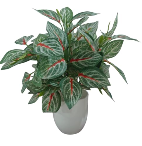 Image of Natural Looking Artificial Money Plant /Tree with Pot | Ornamental Plant for Interior Decor | Home /Shop /Office Decor (Red-Green-New)