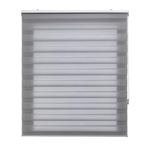 Blindecor | Estor Enrollable Noche y Día a Medida | Doble Capa | Color Gris | 120 x 250 cm (Ancho por Alto) Tamaño de la Tela 117 x 245 cm | Estores para Ventanas