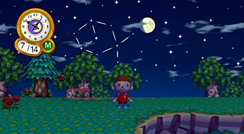 Jeu vidéo Nintendo Animal Crossing: Lets Go to the City Simulation Wii Edition Selects - vue 5