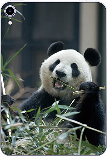 ClearView iPad mini (7/6) iPad mini7/6 8.3C` p w ی tB 킢p_̃vg(Photo by M AVVǁB)