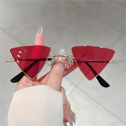 Vintage Triangle Sunglasses In Retro Metal Rim Outdoor Casual Shades Women3