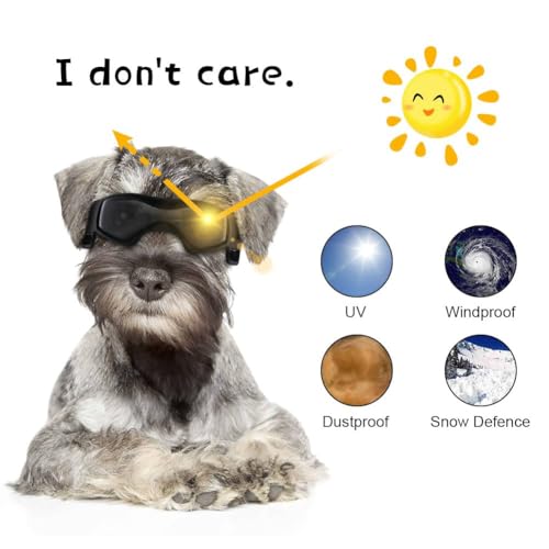 Adiwo Hundebrille,Wasserdicht Hundeschutzbrille mit Hundehalstuch Anti-UV Schutz Hunde Sonnenbrille mit Einstellbar Gummiband Winddichte Schutzbrille Motorradbrille für Kleine Mittelgroße Hunde -S