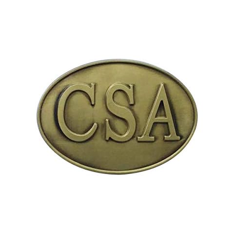 JiuErDP 2ST CSA-Zink-Legierung Gürtelschnalle englische Alphabet-Gürtelschnalle Gürtelschnallen Cover